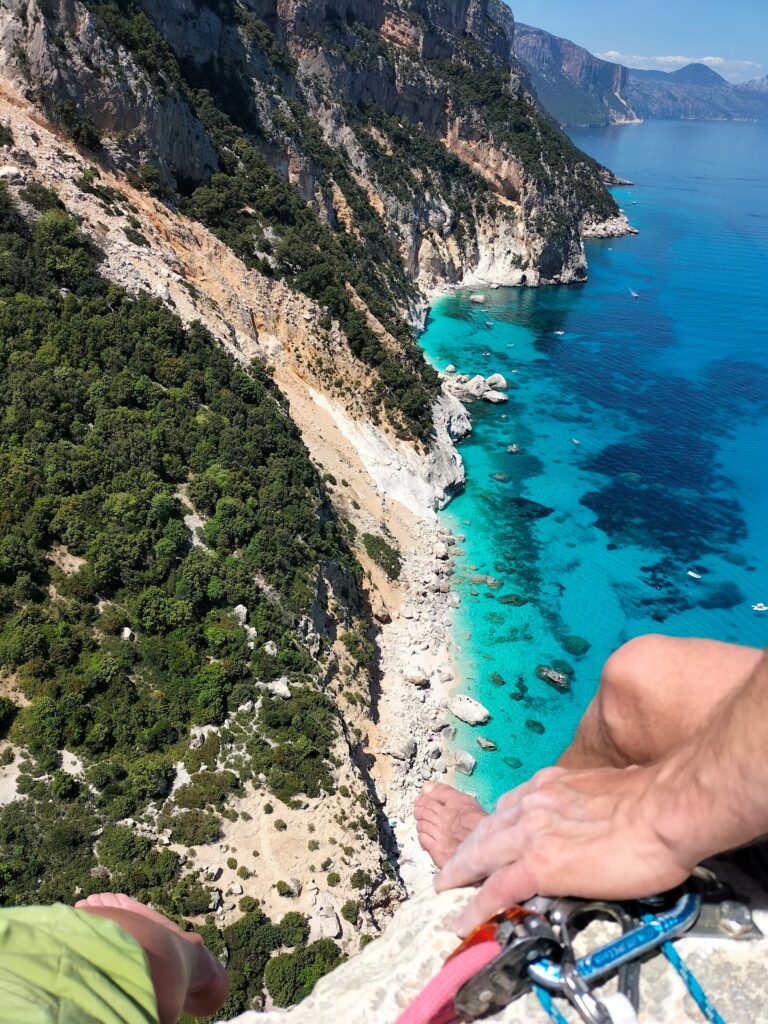 selvaggio blu aguglia di goloritze