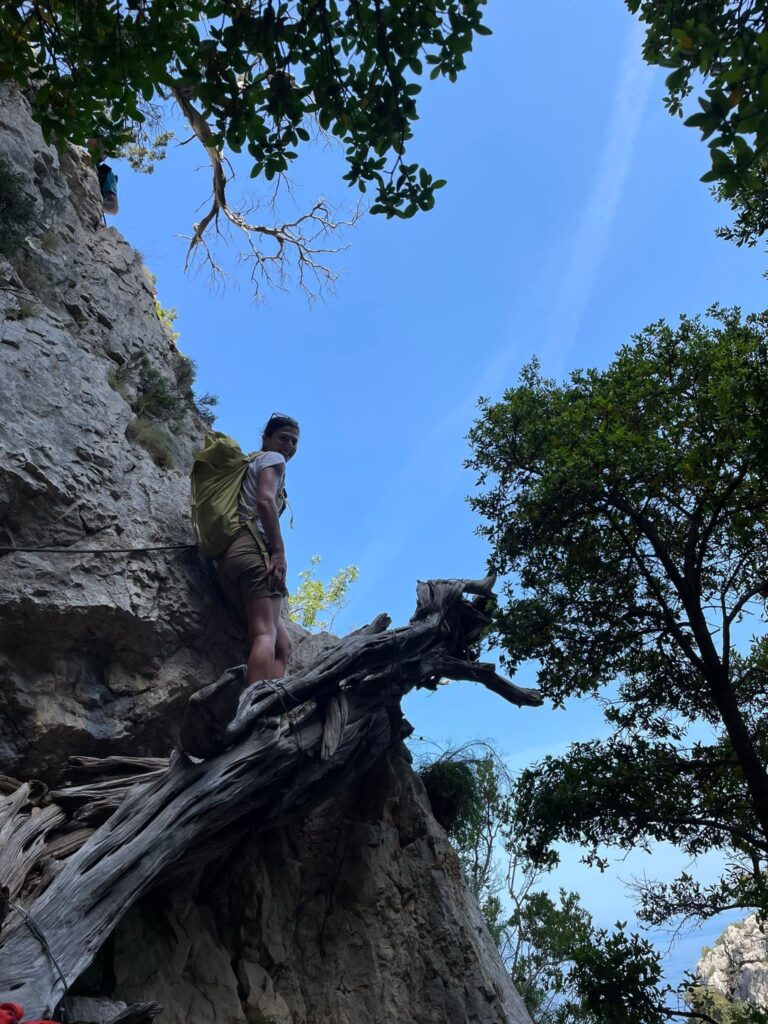 selvaggio blu antichi sentieri di pastori e carbonai