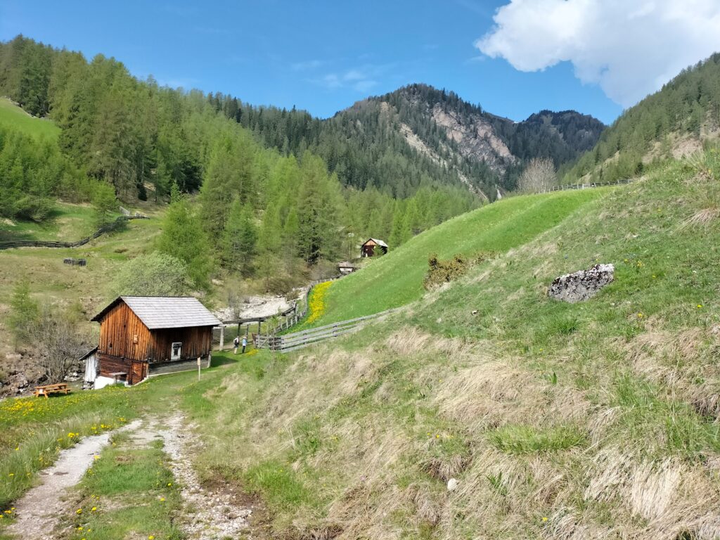 escursioni per famiglie sentiero semplice in mezzo alla natura